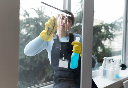 Nettoyage de vitres intérieures et extérieures à Servaville-Salmonville